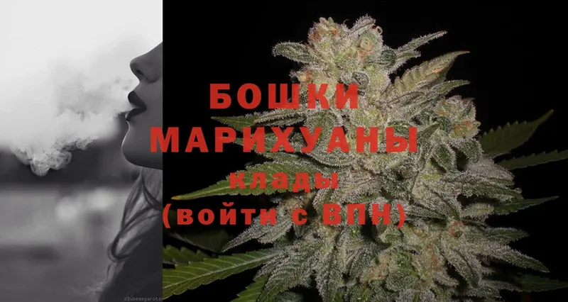 Шишки марихуана Amnesia  купить наркоту  Барыш 